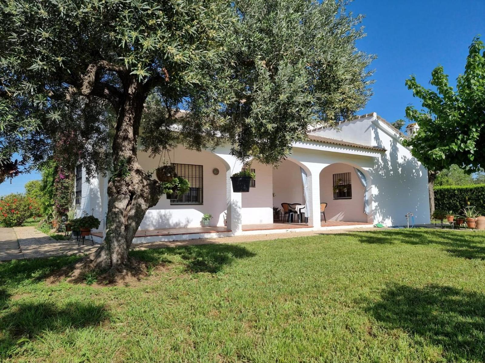 Casa En El Campo Cerca De Sevilla La Rinconada Exterior photo
