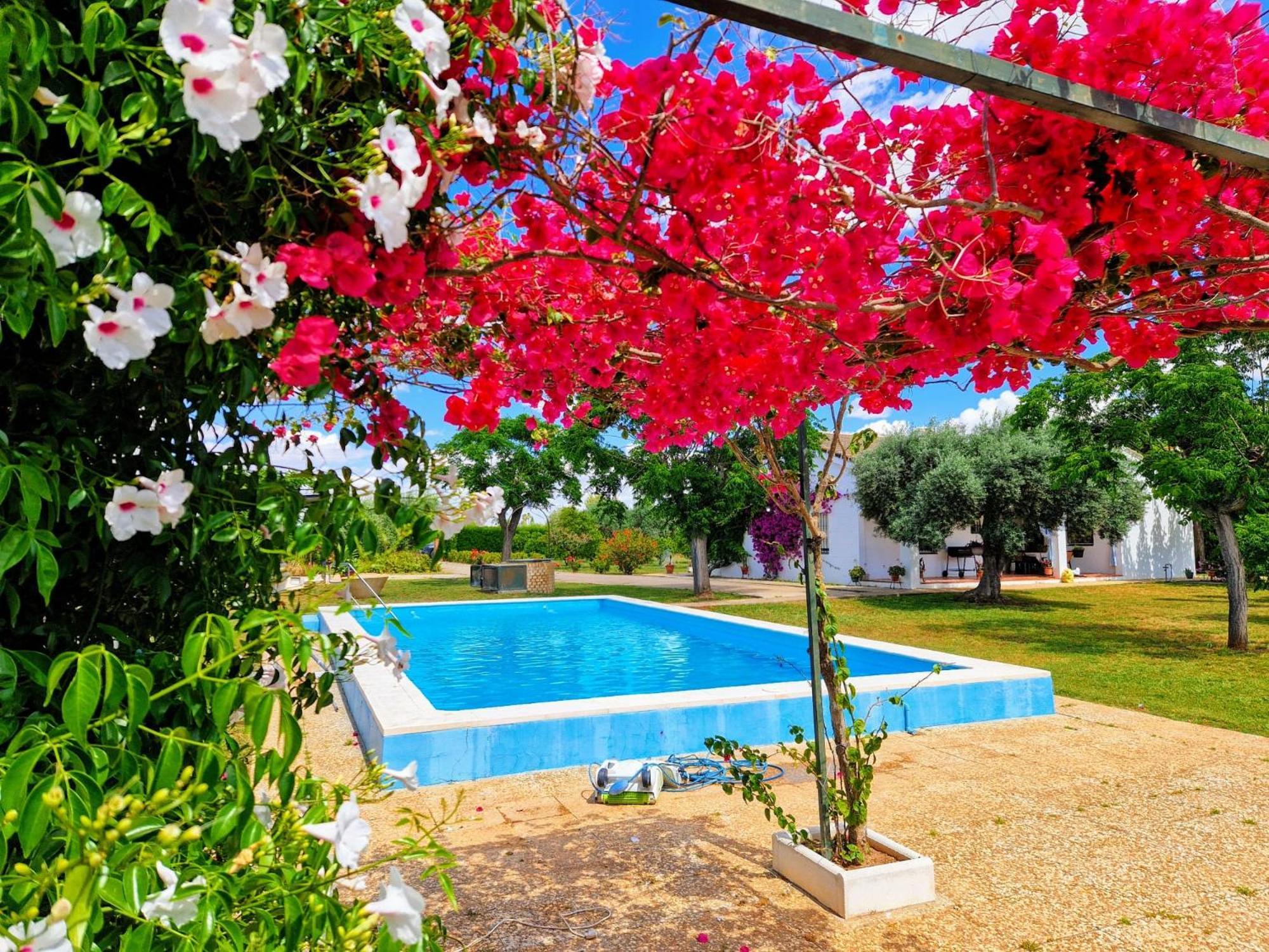 Casa En El Campo Cerca De Sevilla La Rinconada Exterior photo